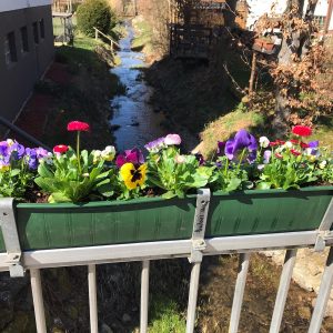 Blumenkasten
