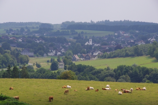 Blick vom Krähenberg auf Schönau